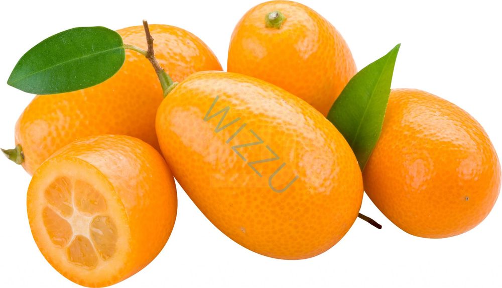 Кумкват ВЕС