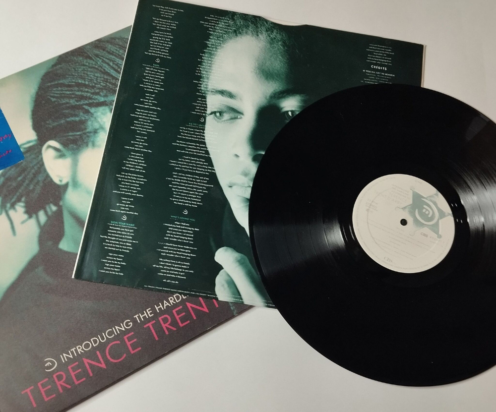 Винтажная виниловая пластинка LP Introducing The Hardline According To Terence Trent Darby (Holland 1987)