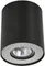 Потолочный светильник Falcon A5633PL-1BK Arte Lamp