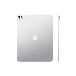 iPad Pro 13 256 ГБ WiFi (M4, 2024)