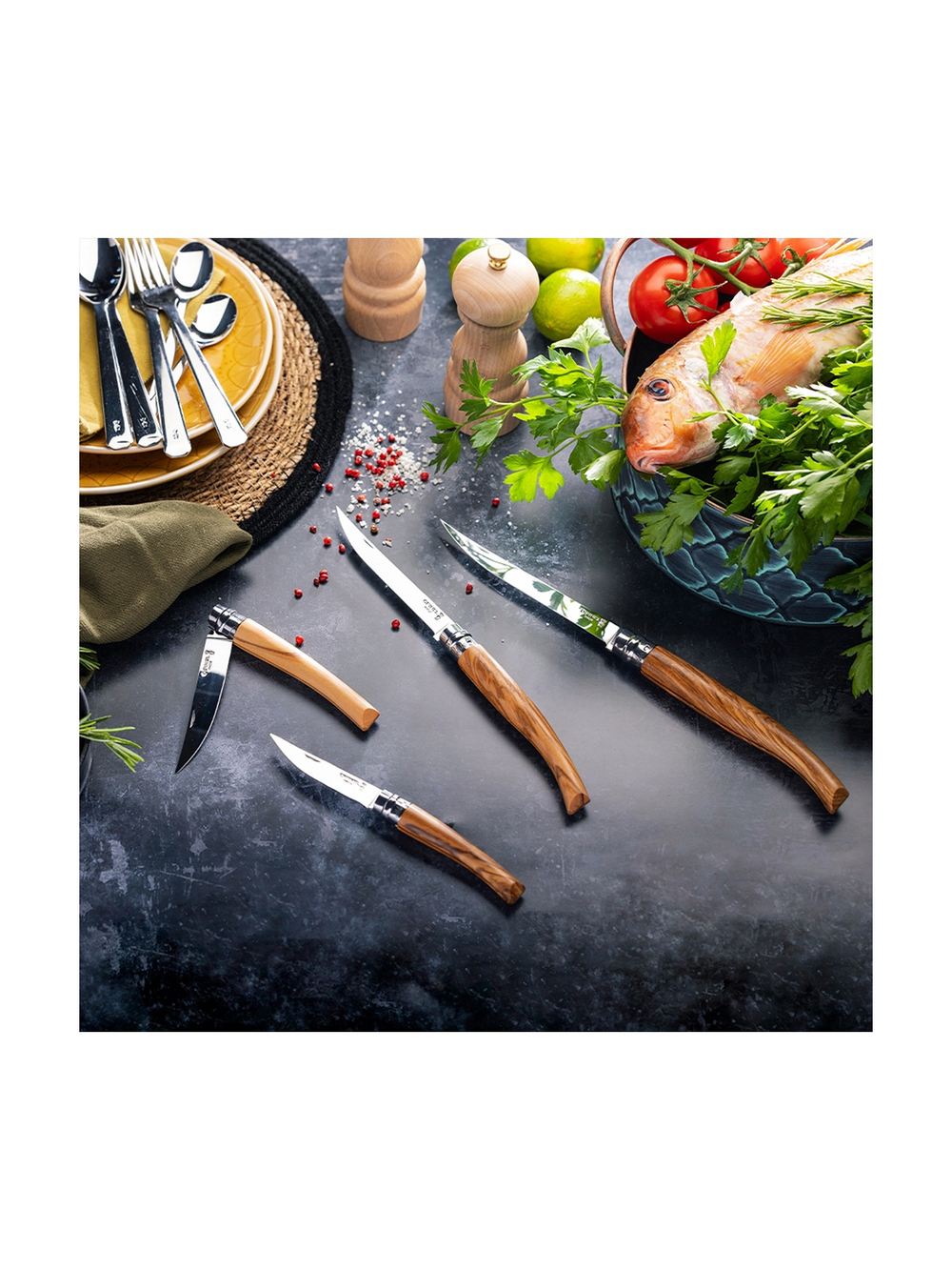 Нож филейный Opinel №10, нержавеющая сталь, рукоять оливковое дерево