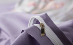 Постельное белье 1.5 спальное Luxe Dream Shantie C1006S
