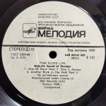 Pink Floyd / Delicate Sound Of Thunder (2LP)