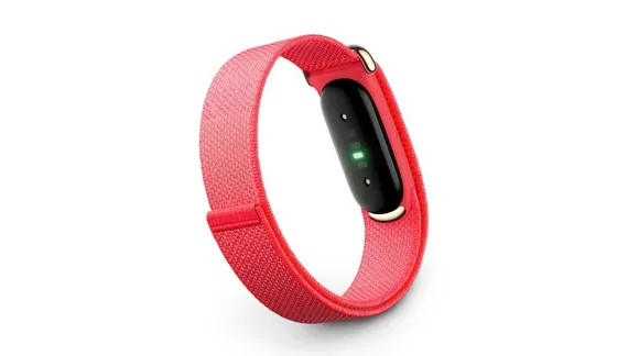 Фитнес-браслет Google Fitbit Air («Ягода» | Berry)