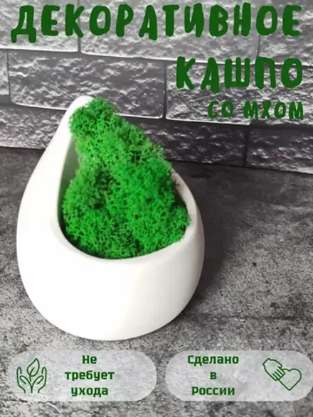 Декоративное кашпо капля из гипса со мхом
