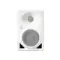 Neumann KH 80 DSP A White