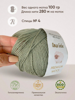 Пряжа для вязания Premium Wool шерсть, цвет зеленый дым (1шт - 100г)