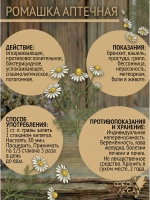 Ромашка аптечная здоровья, творчества и солнечной магии
