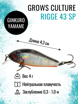 Воблер Минноу Rigge 43SP 43 мм 4 г цвет 20 Ginkuro Yamame