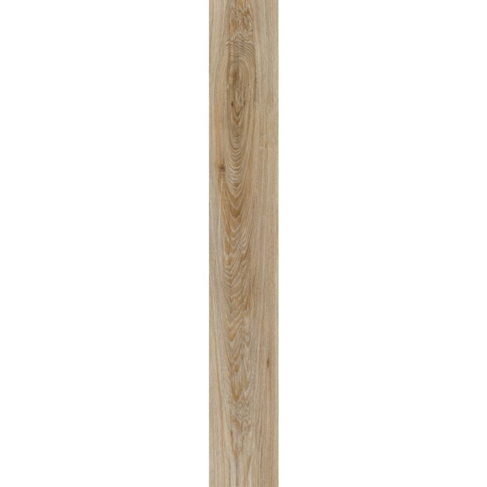 Blackjack Oak 22229
