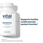 Vital Nutrients, Берберин, 500 мг, 60 веганских капсул