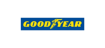 Летняя шина Goodyear Eagle F1 Asymmetric SUV AT (285/40 R22 110Y)