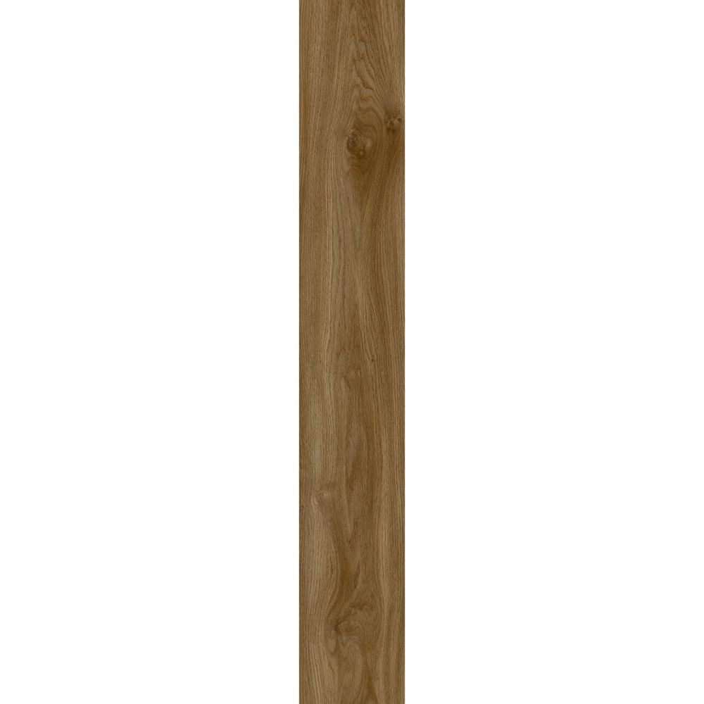 Sierra Oak 58876
