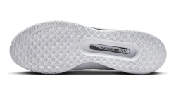 Теннисные кроссовки Nike Zoom Court Pro HC