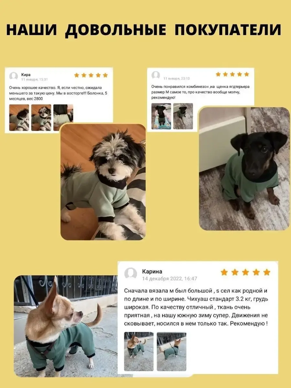 Комбинезон для собак кошек сфинкс кофта костюм для животных