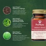 Функциональная кормовая добавка для собак и кошек ProPhyto Энерджи Буст, 30 таблеток