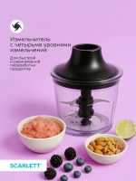 Блендер SCARLETT SC-HB42F88
