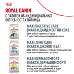 Royal Canin Golden Retriever Голден (золотой) Ретривер Эдалт Корм сухой для взрослых собак породы Голден Ретривер 12кг