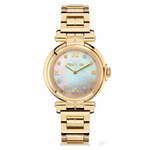 Наручные часы CERRUTI CIWLG2115002