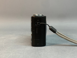 Leica V-LUX 30