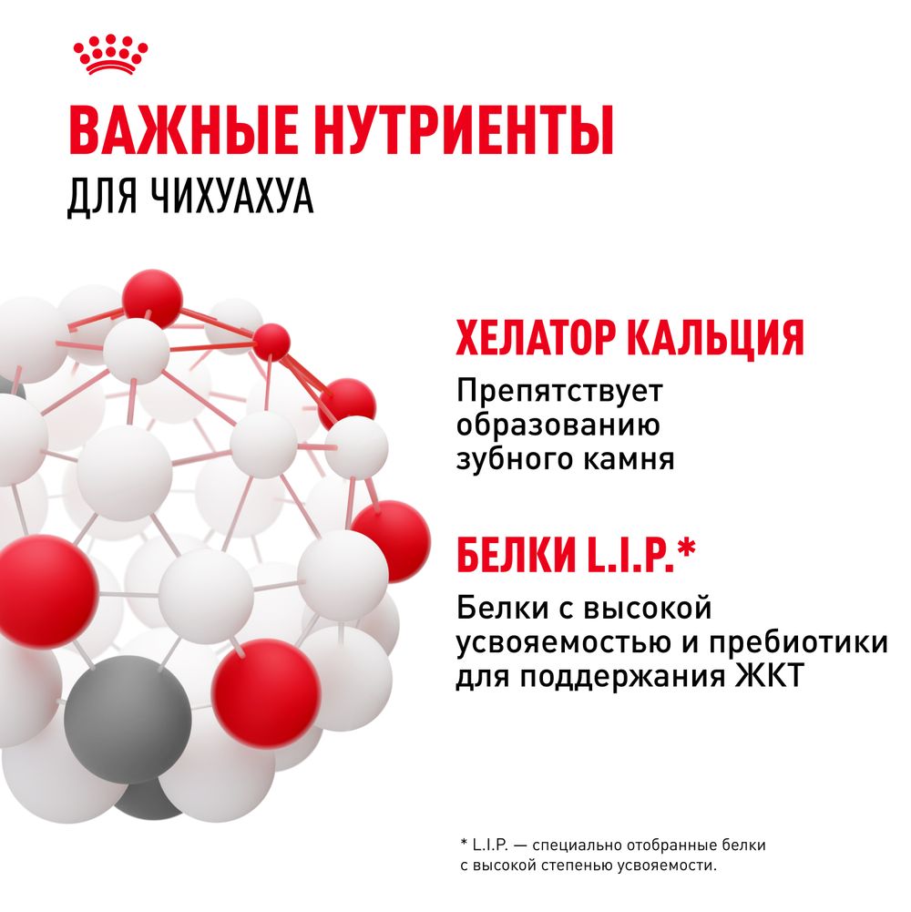 Сухой корм Royal Canin Chihuahua Adult для взрослых собак породы Чихуахуа от 8 месяцев