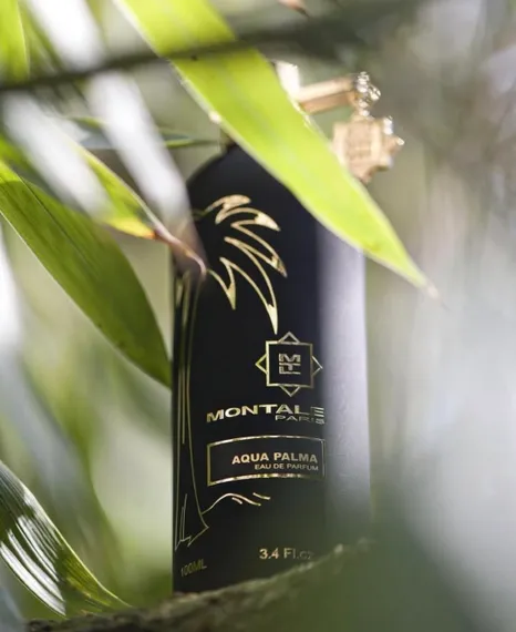 Montale Aqua Palma