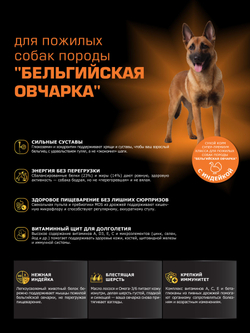 Quattro корм для пожилых собак породы Бельгийская овчарка (5+), с индейкой, 12 кг, QUATTRO