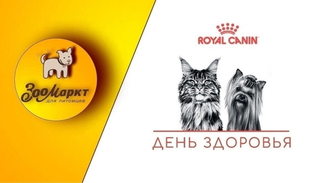 Акция «День здоровья» по адресу ул. Алтайская, 33