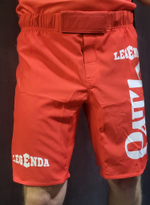 Шорты спортивные ММА LEGENDA Рать, красные