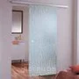 Фото стеклянной раздвижной двери Аллигатор в интерьере