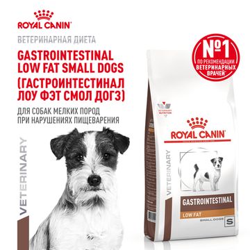 Royal Canin Gastro Intestinal Low Fat диета для собак мелких пород с ограниченным содержанием жиров при нарушении пищеварения