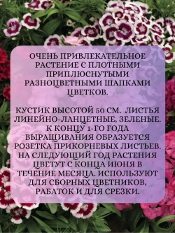 Семена Гвоздика Турецкая Смесь окрасок 2 грамма