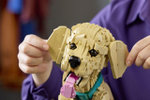 Конструктор Лего айконс Щенок золотистого ретривера 11384 | LEGO Icons Golden Retriever Puppy 2102 детали 18+