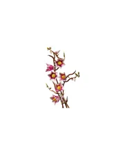 Конструктор Botanicals 11510 Ветви магнолии