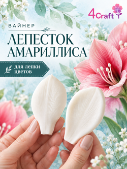 Вайнер лепесток Амариллиса