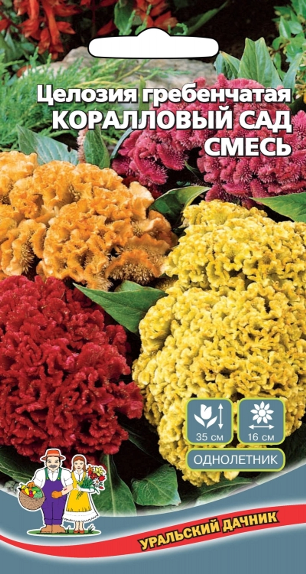 Семена Целозия Коралловый сад - гребенчатая 0,1гр (УД) Е/П