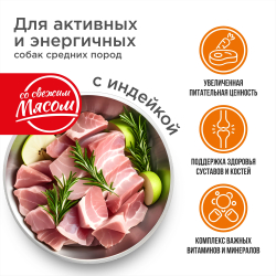 Корм сухой для взрослых собак средних пород, премиум полнорационный комплекс, для активных и энергичных, с индейкой, 12 кг, QUATTRO