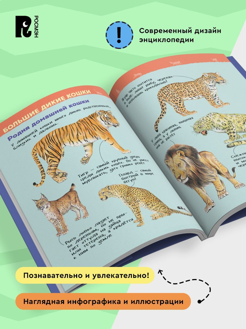Кошки и котята (Энциклопедия для детского сада)
