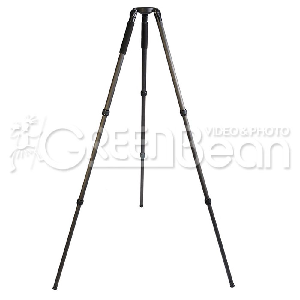 GreenBean VideoMaster 171С