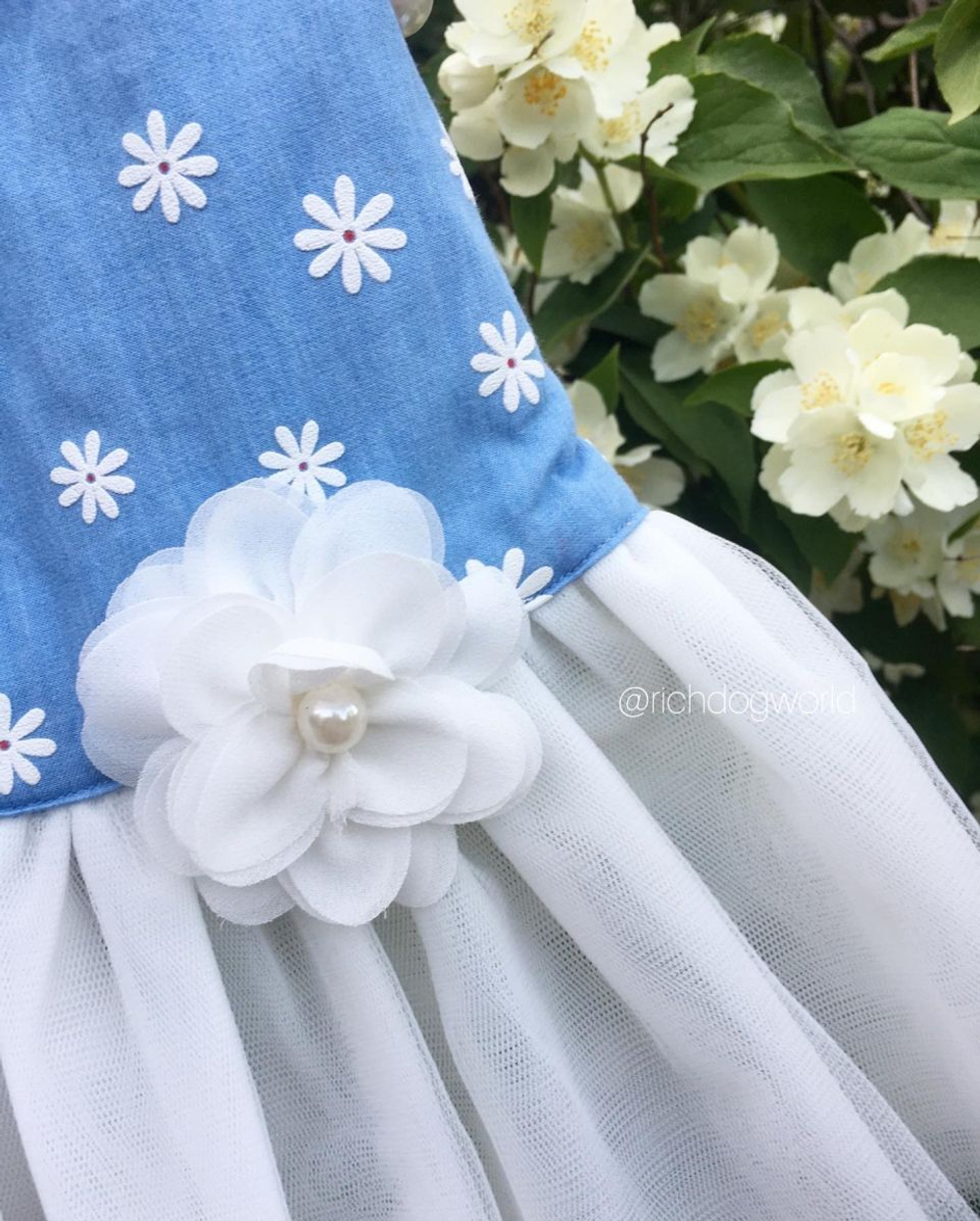 5176 BH Платье для собак, бело-голубое "Florence Dress - BLUE"