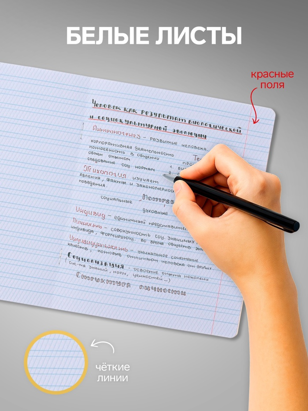 Тетради 10 штук, 12 листов в линию Calligrata «Тигрёнок»