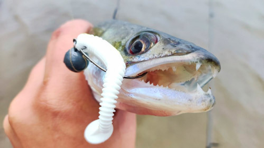 Tiogga 74 мм - мягкая силиконовая приманка Brown Perch (8 шт)