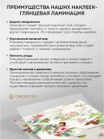 Наклейка интерьерная на холодильник Цветы и бабочки