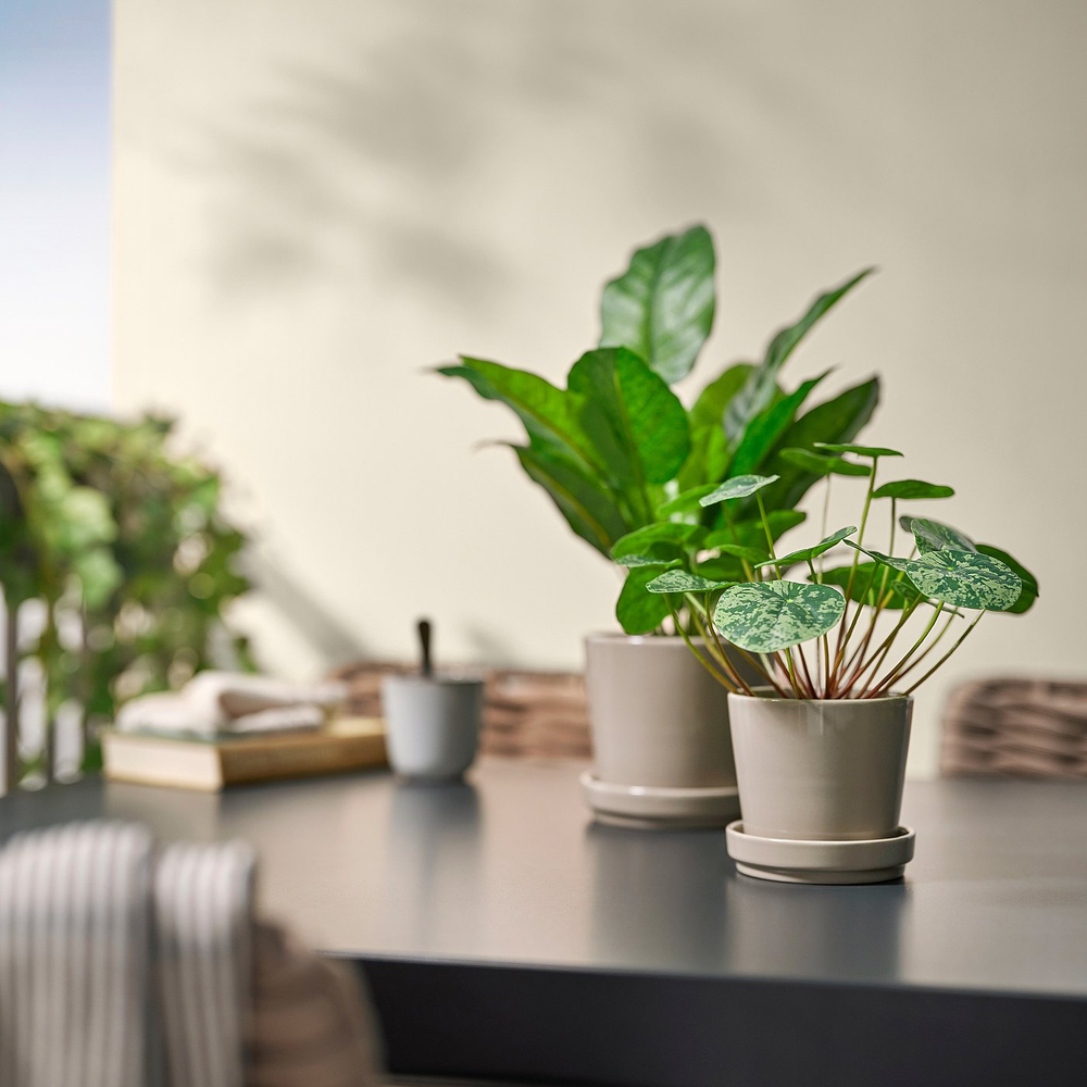 IKEA FEJKA  (ИКЕА ФЕЙКА)  -  Искусственное растение в горшке - для дома/улицы Pilea 9 см