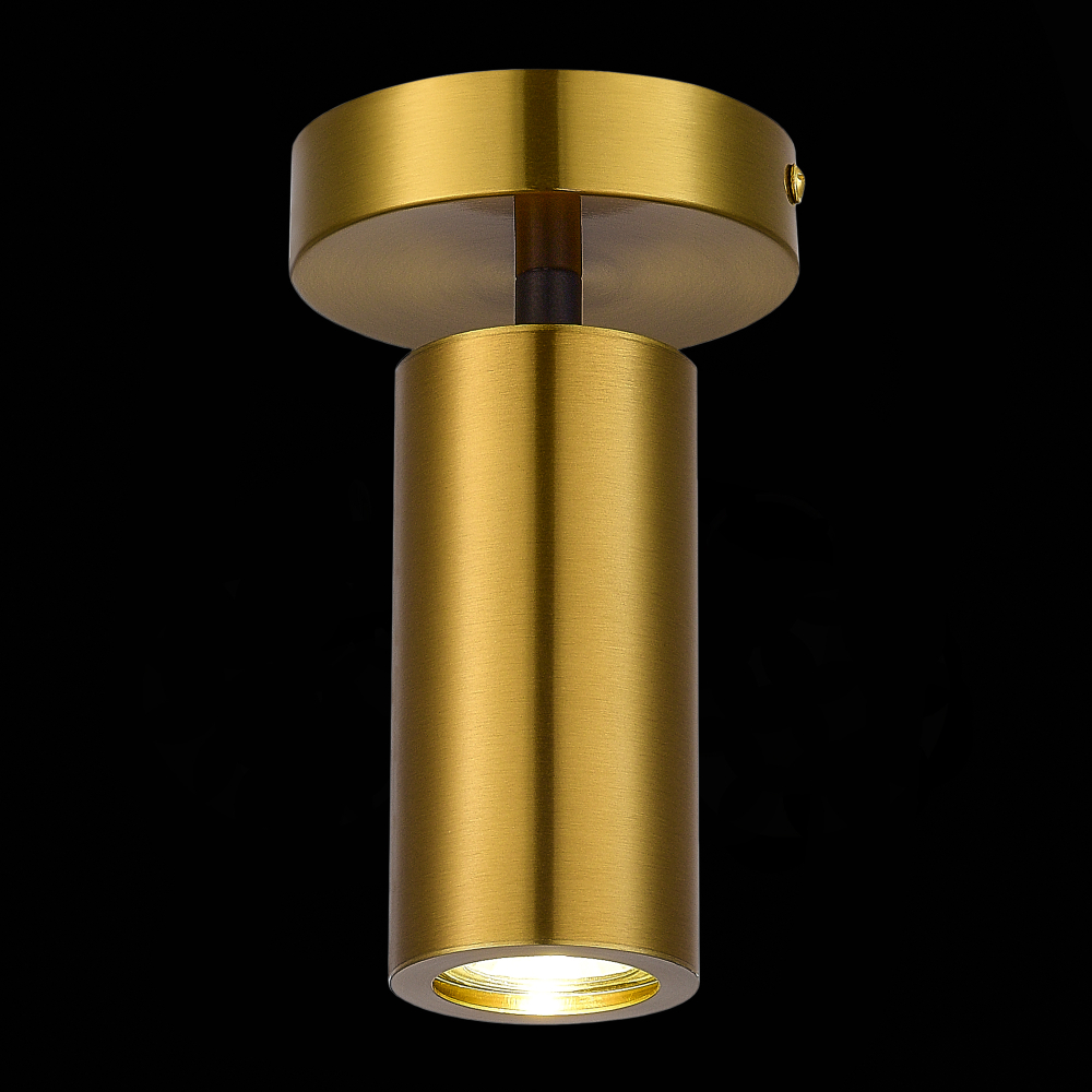 Светильник потолочный ST Luce Talia SL1215.402.01