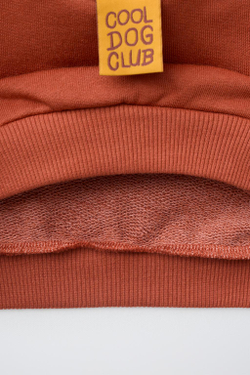 ZARA ТОЛСТОВКА С ПРИНТОМ «СОБАКА», МЕДНЫЙ