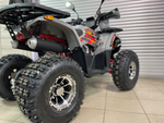 Квадроцикл PROMAX WILD 2.0 190 PRO (2025)