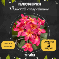 Плюмерия "Тайский старейшина" семена 3 шт