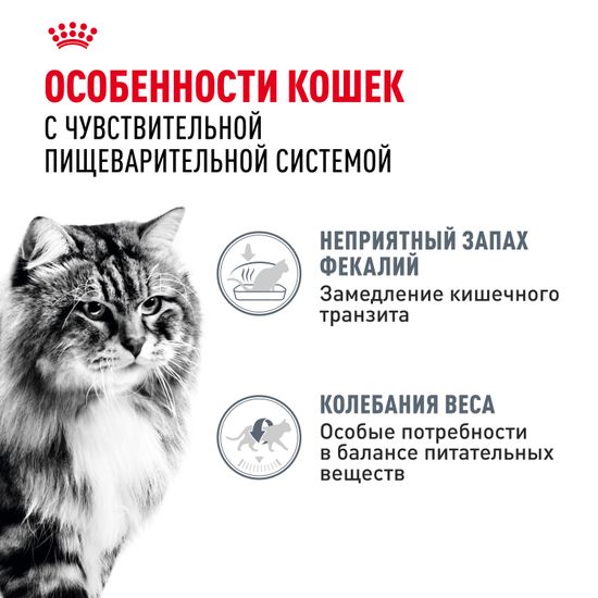 Royal Canin Digest Sensitive влажный корм для взрослых Кошек и Котов для улучшения пищеварения 85 гр
