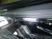 DSCN1562.JPG